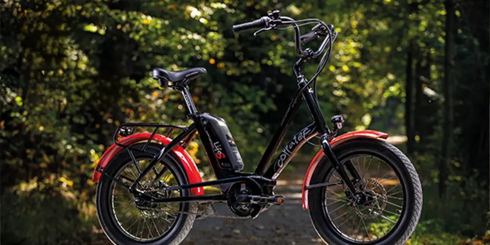 corratec Life S Bike