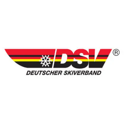DSV Logo