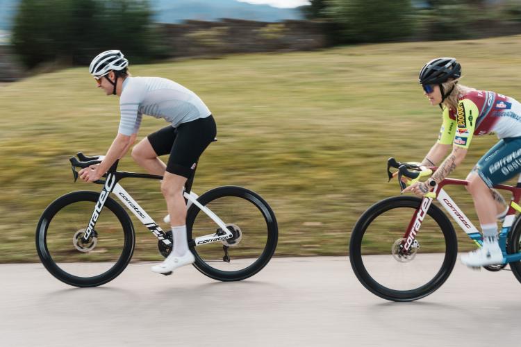 Kategoriebild der Kategorie “Road”