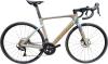 Artikelbild 1 des Artikels “CCT Team Race Rainbow Silver, Golden | 46“