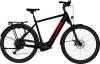 Artikelbild 1 des Artikels “E-Power Trekking 28 CX6 Gent Black, Red | S“
