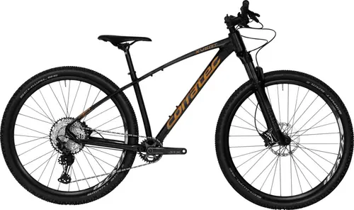 Artikelbild des Artikels “X-Vert Pro Team “